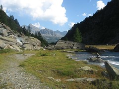 IMG_2850 small