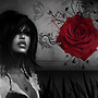 sexy rose