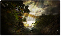 Light of Soul