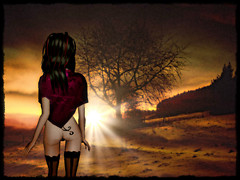 Enchanted