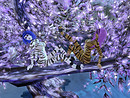 Forest of Dreams 02
