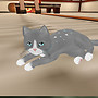 I haz KittyCats