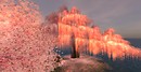 Tempura Island