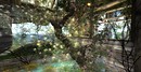 Embryo_008