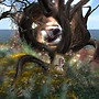 Embryo_011