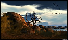 Deserto