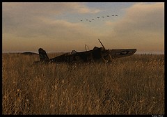 Airplane