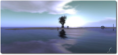 Ma Solitude
