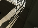 Shadow Dancing