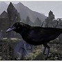 The Raven