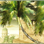 palms