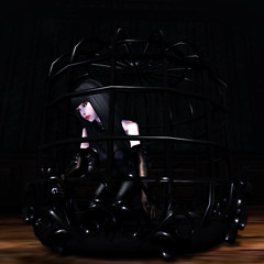 [anc.Ltd] collect - C