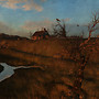 house on the hill