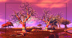 Kittens Heaven_002