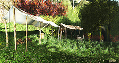 The Garden_001