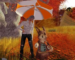 rabbit