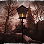 lamplight