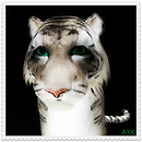 Tyger! Tyger! burning bright...