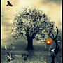 Lonely  Tree.....