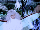 Artemis moth