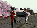 Snapshot_018