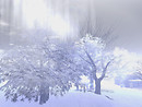 Freezing