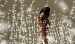 xmas 12_001