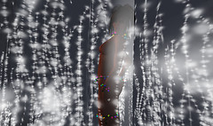xmas 6_001