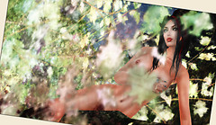 Dra Fauna
