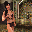 Arachne silks
