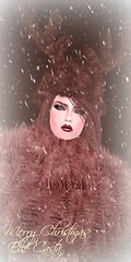 Bliss Couture Fur Sale Hurry!!!!
