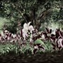 Japan Gardens project