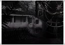 Lost dawn