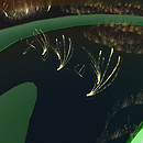 QT Twisted Divvr Grass