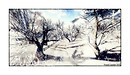 Snow in 3D