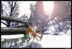 Ruota