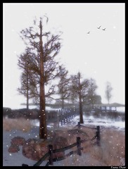 Veduta invernale