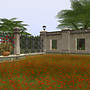 garden on villa level