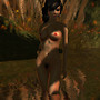 ponds_002