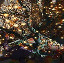 Postcard from [CURRENT_GRID]. - syrah.xue