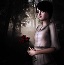 Quelques roses