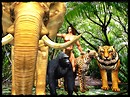King of the Jungle