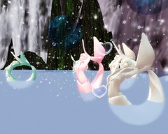 Dream3