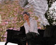 my