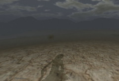 Desert Shadow Sway II