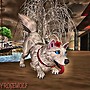 wolf play