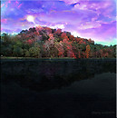 Color My World