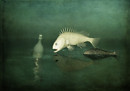 Fishes