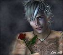 Kiss from a Rose