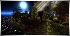 moon shadow moon light night